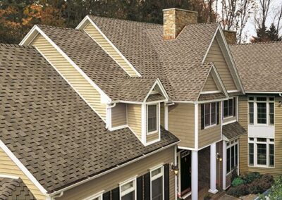 Roof Shingles